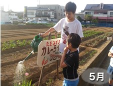 たまみずきの1年間