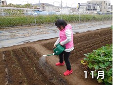 たまみずきの1年間