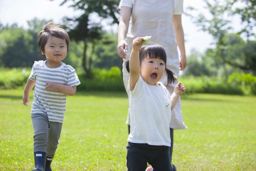 行動援護